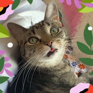 Meet your Posher, Jillian